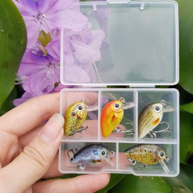 Hộp 5 mồi ruồi 3D siêu nhạy cá