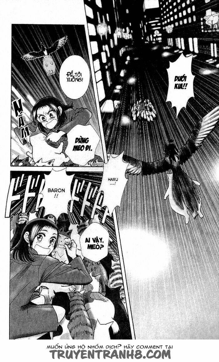 mimi wo sumaseba - lời thì thầm từ trái tim chapter 7 38