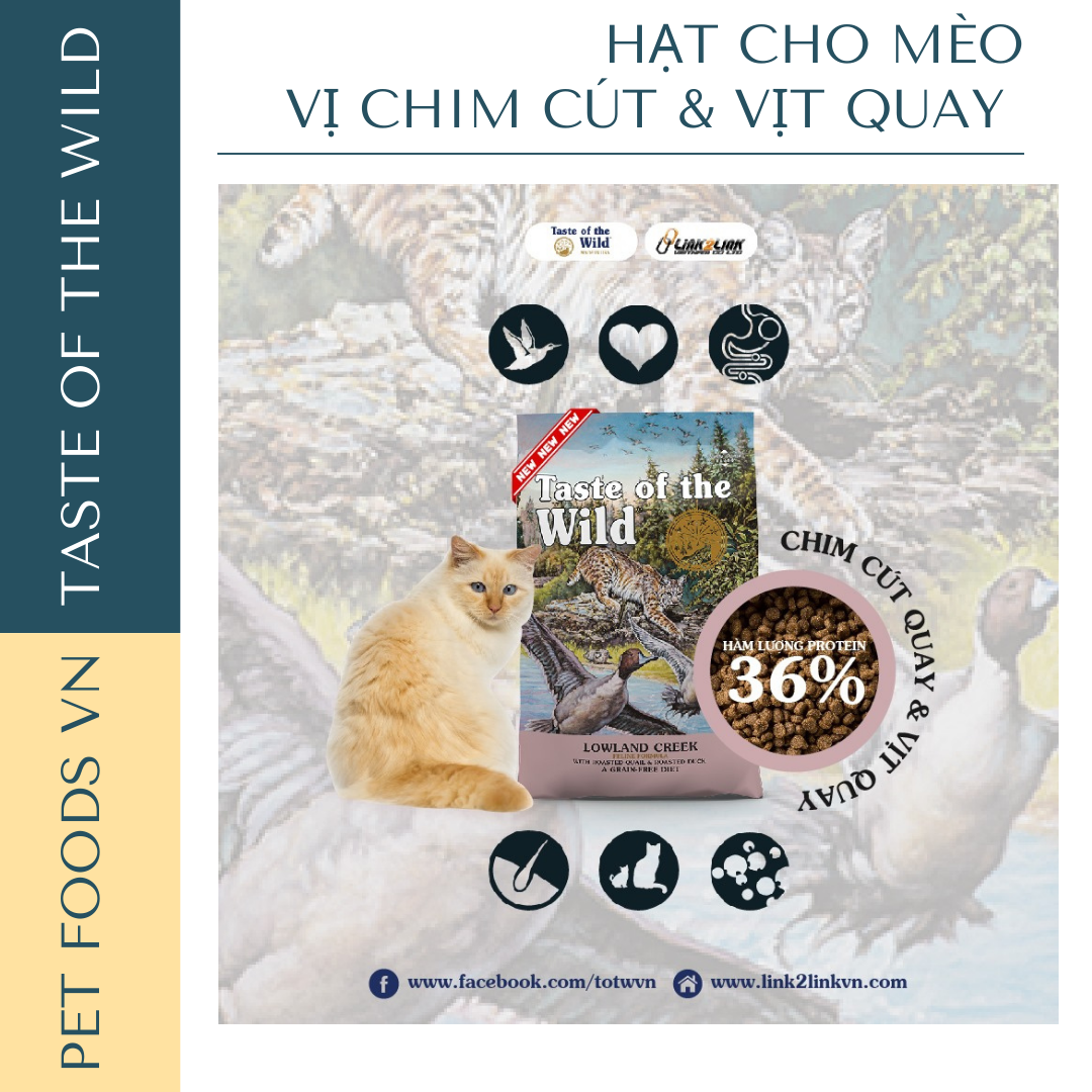 Hạt cho mèo TASTE OF THE WILD Lowland Creek vị Chim Cút và Vịt Quay