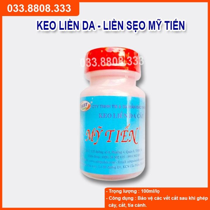 Keo Liền Da Cây - Keo Mỹ Tiến