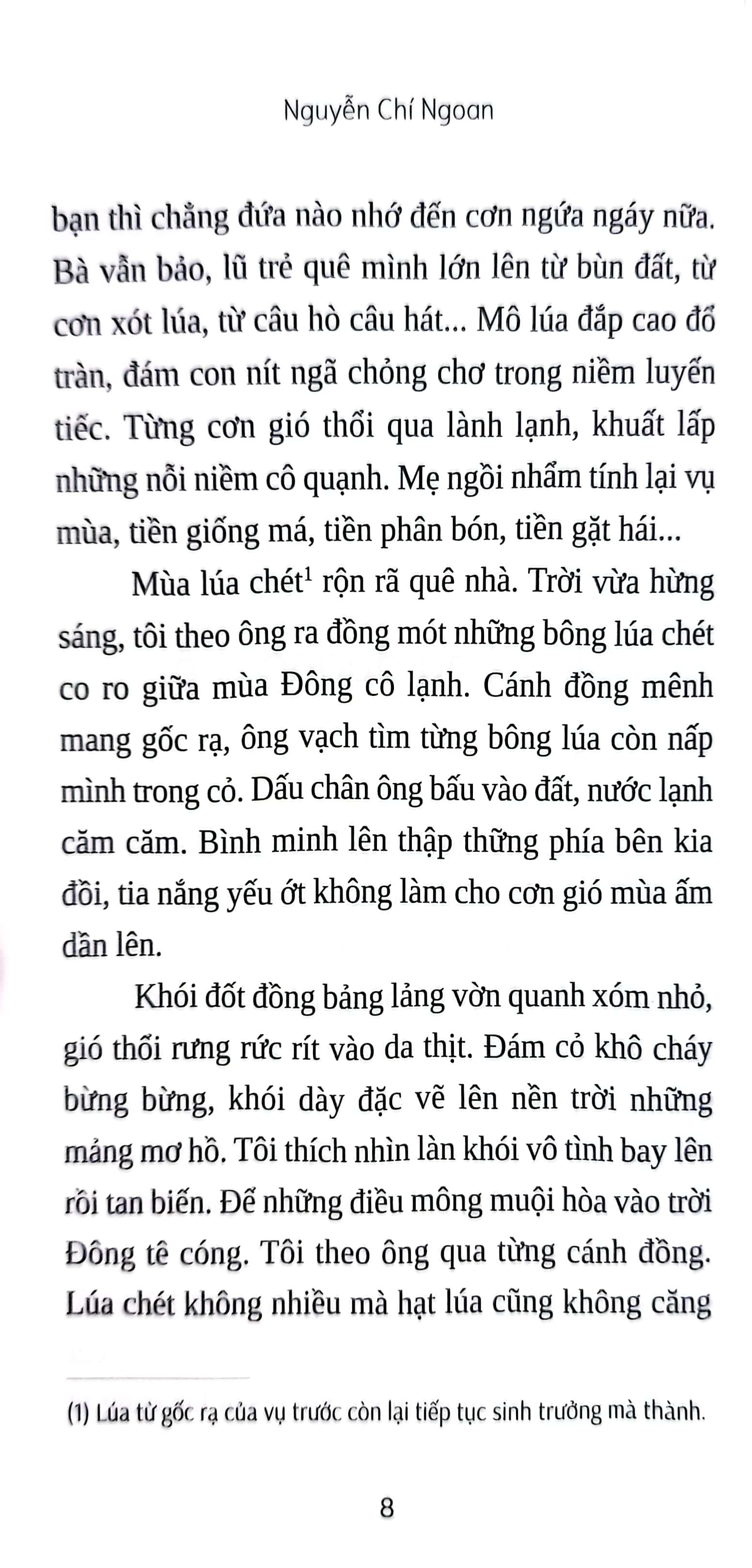 Mưa Miền Đất Mặn