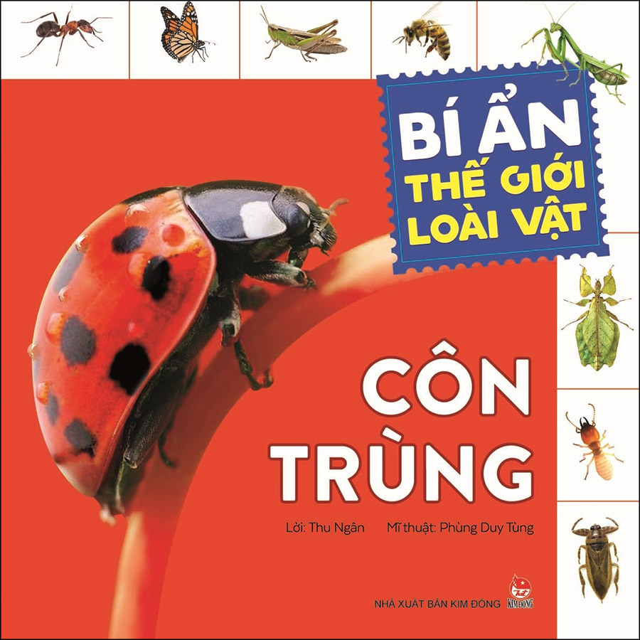 Combo Bí Ẩn Thế Giới Loài Vật