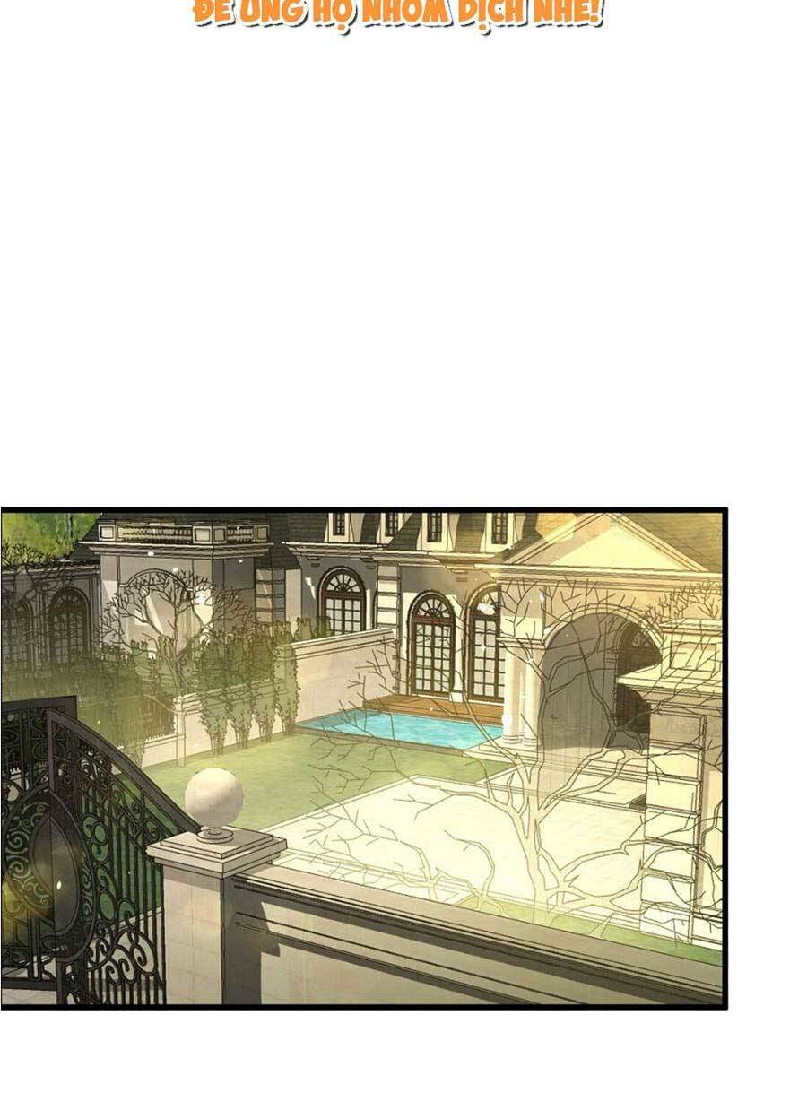 vợ tôi là boss ngầm đầy quyền lực chapter 9 5