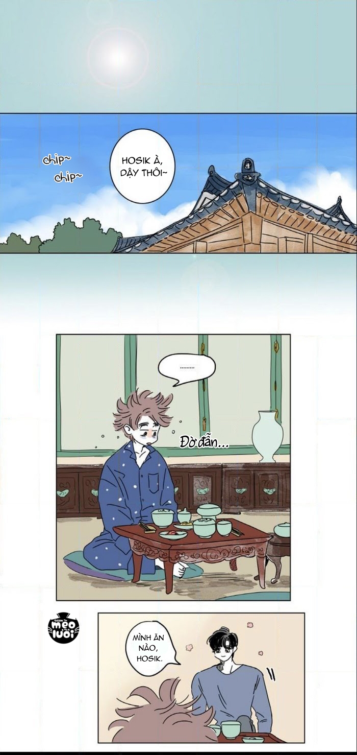 câu chuyện của hosik chapter 11 1
