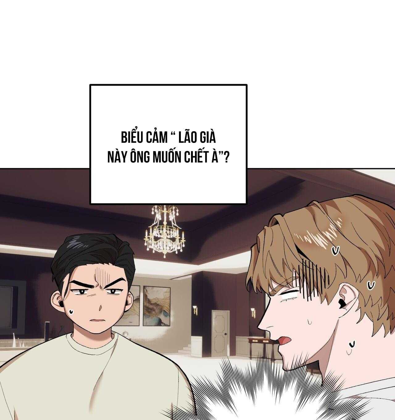 chàng dâu nhà họ kang chapter 68 81