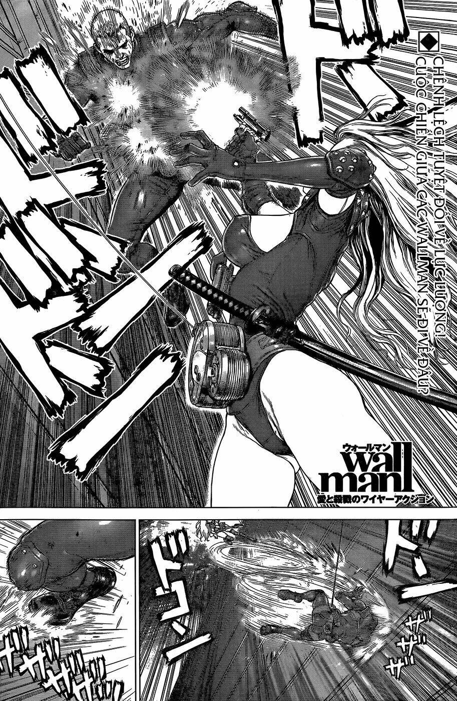 wallman chapter 13 4