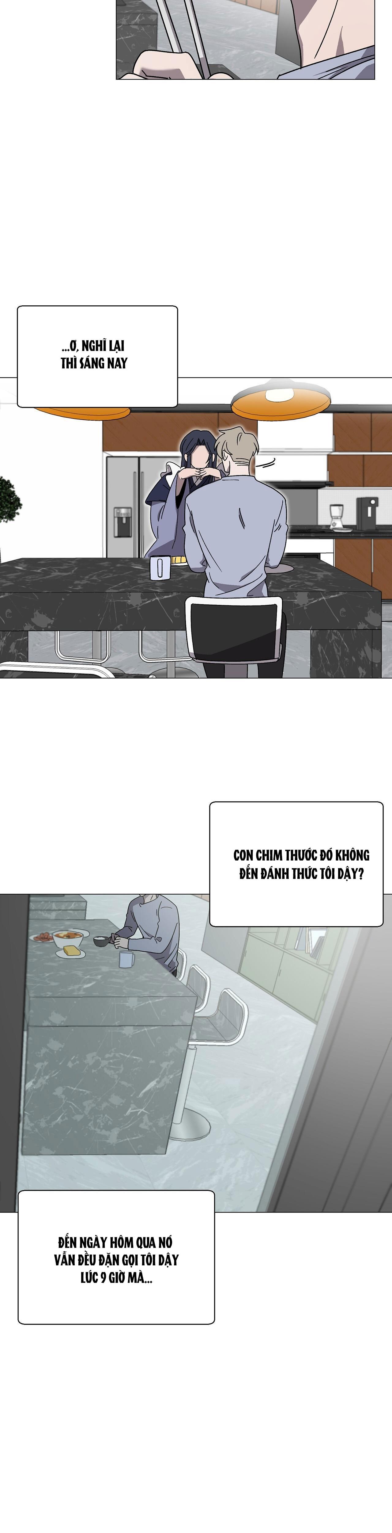 khi chim thước đến chapter 6 26