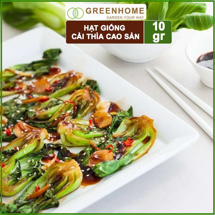 Hạt giống rau Cải thìa cao sản, gói 10gr, nẩy mầm khỏe năng suất cao R08 |Greenhome