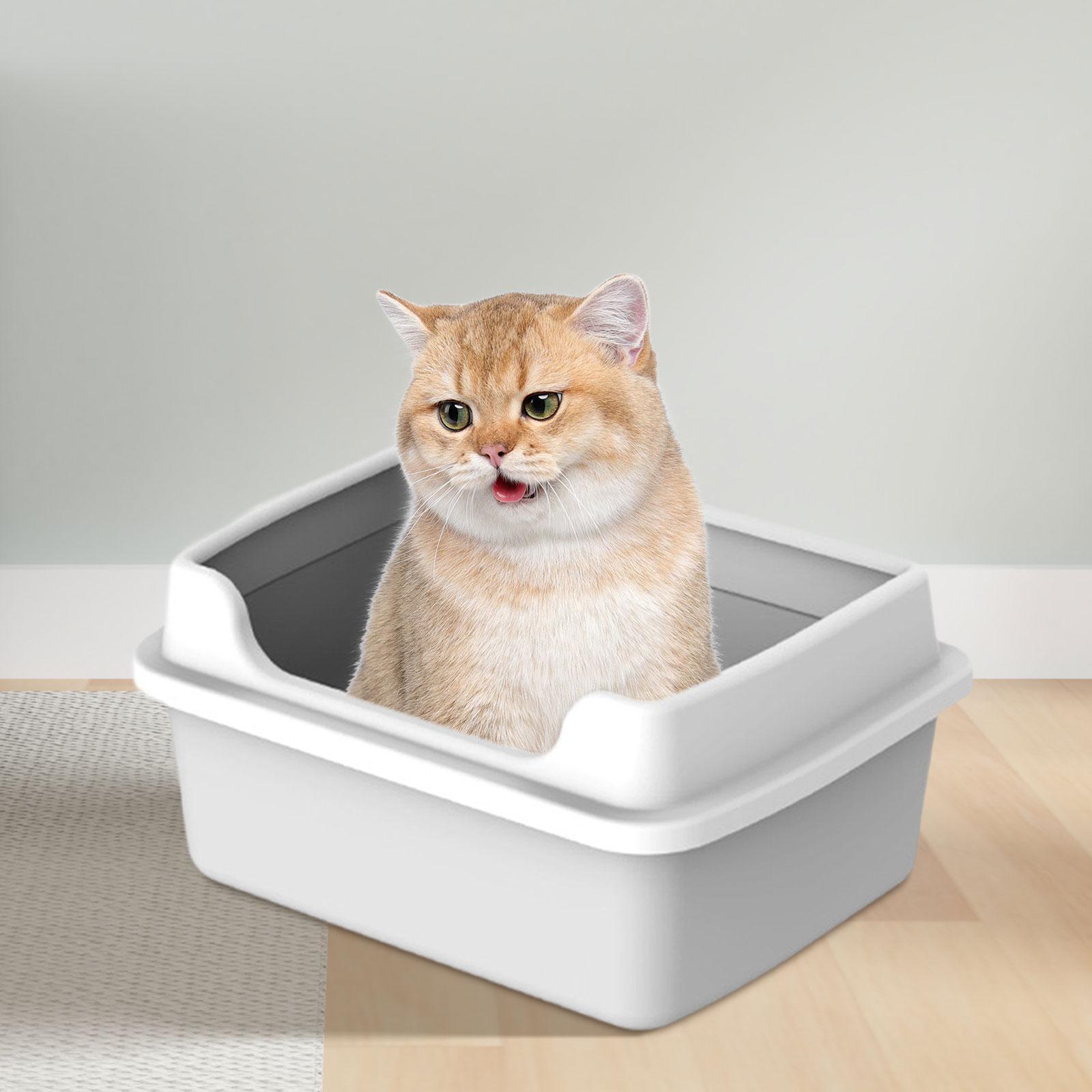 Cat Litter Box for Indoor Cats Cat Litter Tray for Cats Small Animals Rabbit