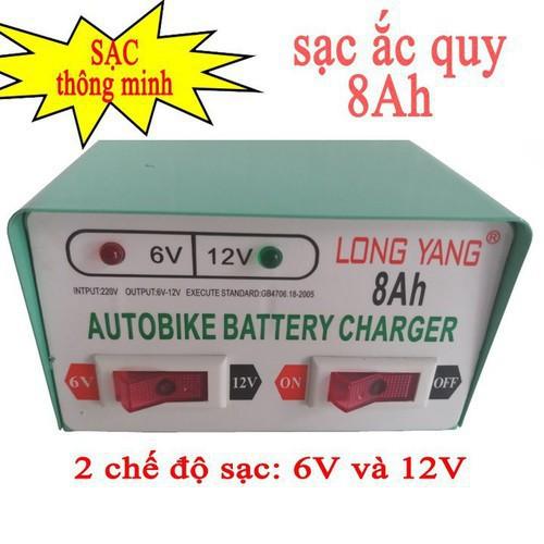 Bộ sạc điện acquy 6V và 12V