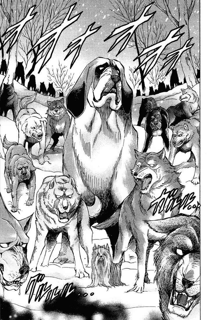 gamble fish chapter 73 13