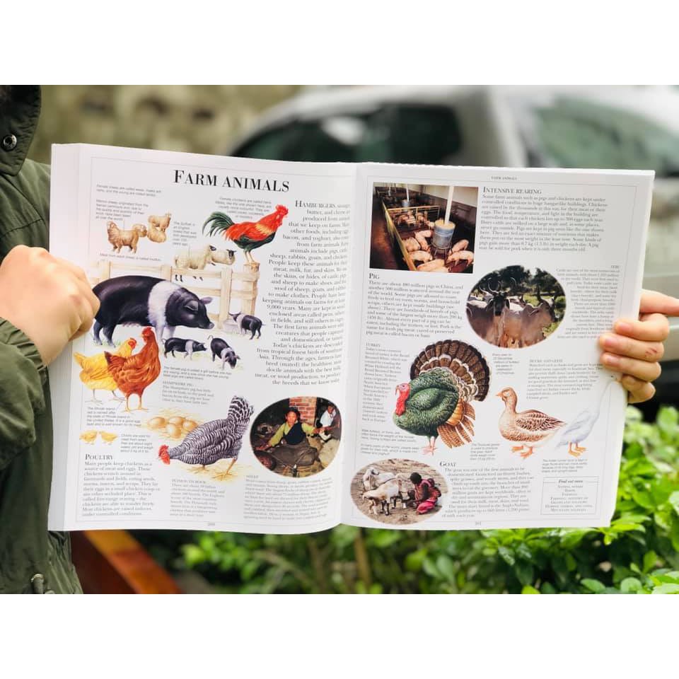 Sách: Childrens Illustrated Encyclopedia - Bách Khoa Toàn Thư Minh Họa