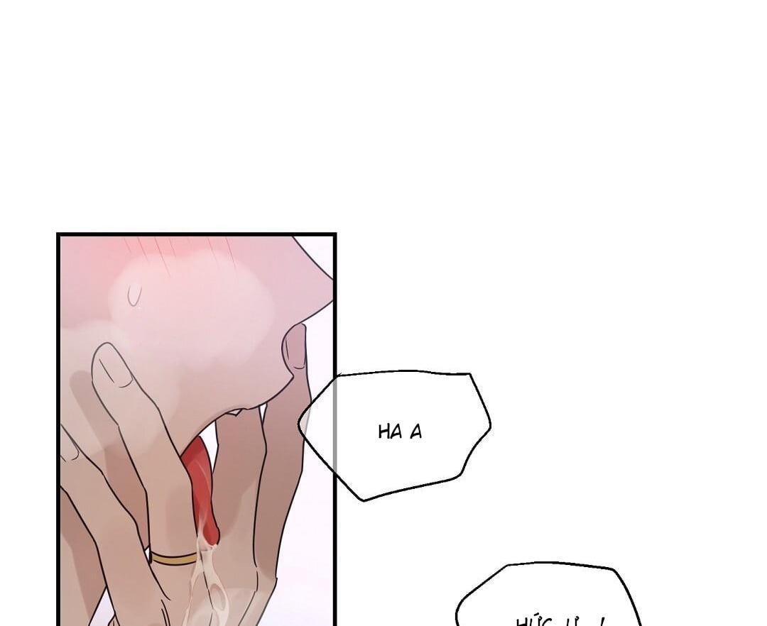 phức cảm tự ti của omega chapter 43 106