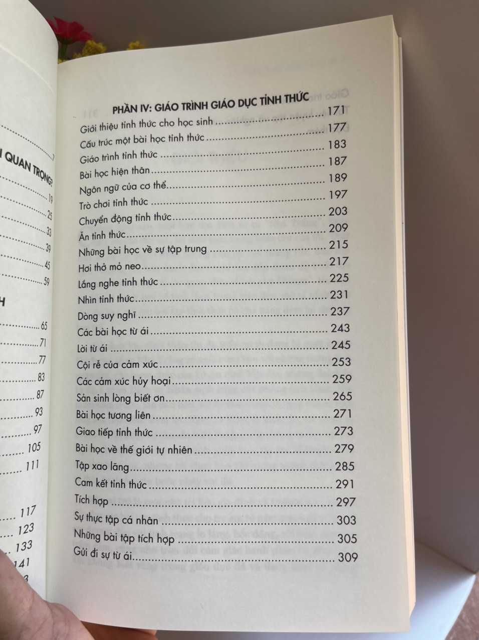 GIÁO DỤC TỈNH THỨC và WORKBOOK - Daniel Rechtschaffen – Kiều Anh Tú dịch – Thái Hà