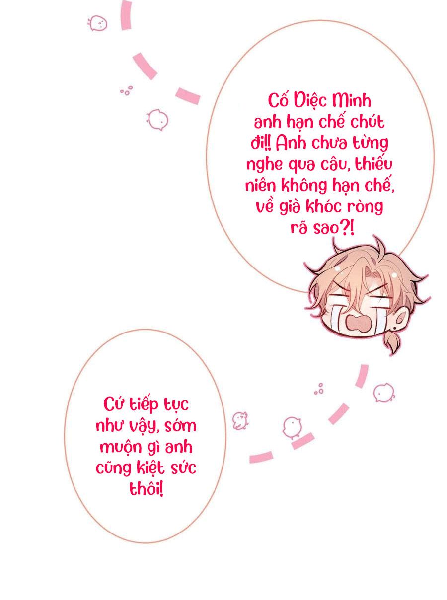 lại bị nam thần chọc trên hot search! chapter 82 2