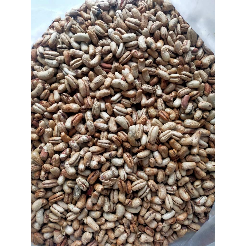 Hạt giống chà là kiểng - chà là cảnh | 500 gram/gói