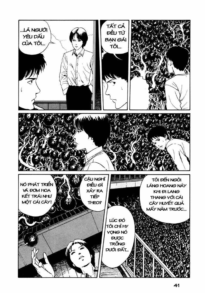 tuyển tập truyện ngắn kinh dị của ito junji chapter 8.1 42