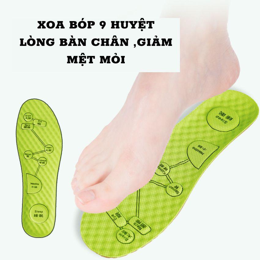 Lót Giày Thảo Dược Mát Sa Kháng Khuẩn Bảo Vệ Chân Dùng Cho Giày Nam Và Nữ Size Từ 35 Đến 44 SUNO STORE LG04