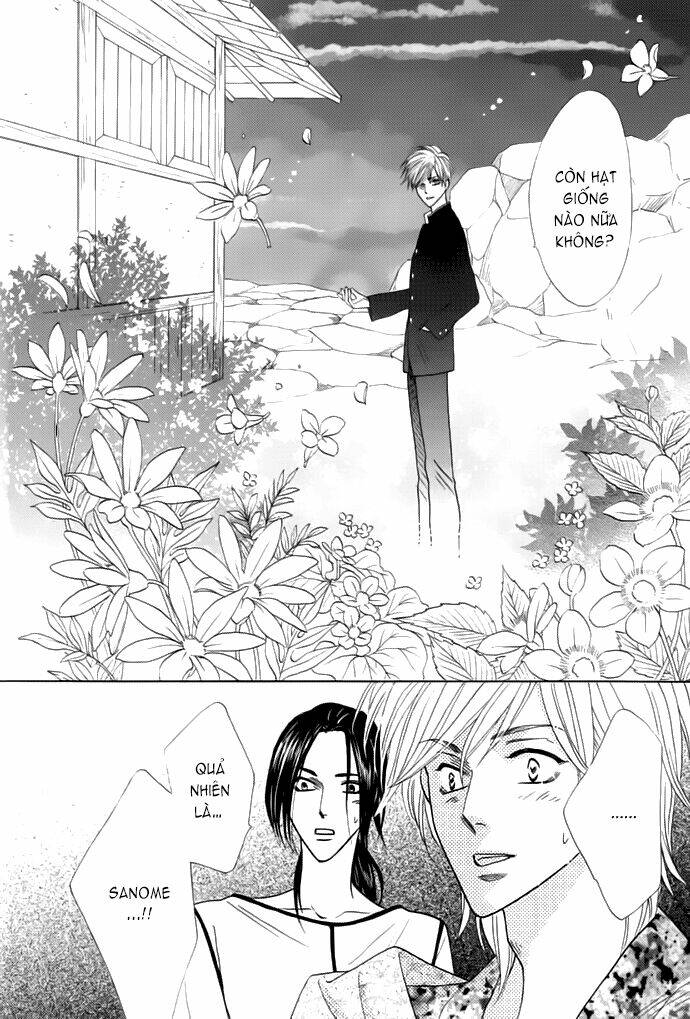 kim cương bạc chapter 13 8