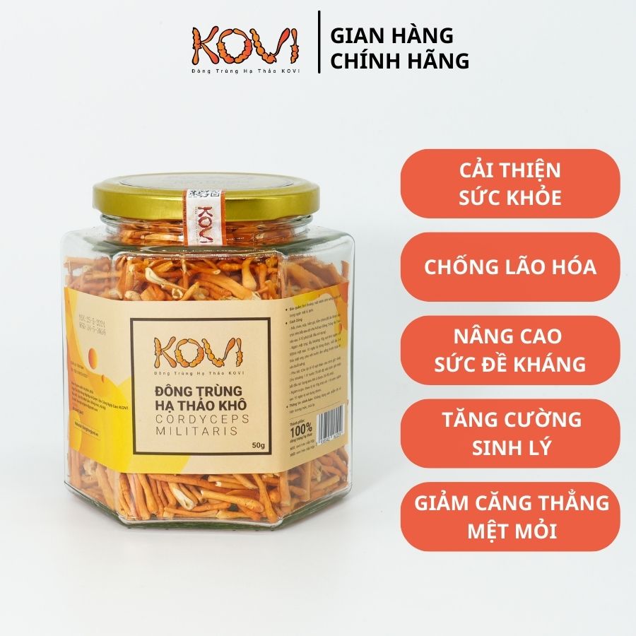 [Mua 3 tặng 1] Đông trùng hạ thảo KOVI khô sấy thăng hoa 50g | Combo ưu đãi