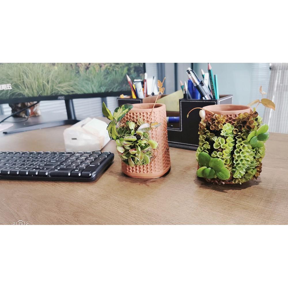 Tháp cây đứng - Chậu Gốm Trồng Cây Nhỏ Sáng Tạo Trang Trí Nhà Cửa