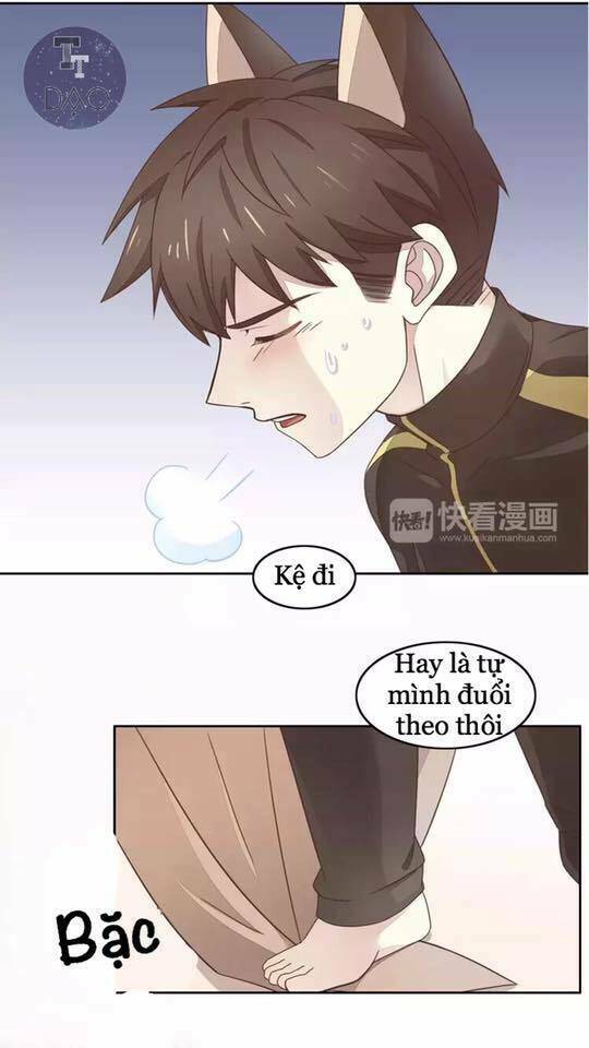 dưới móng vuốt mèo chapter 19 23