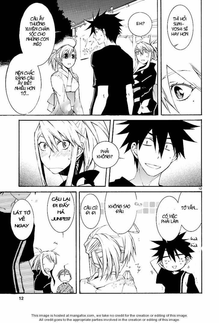 nyankoi! chapter 25 13