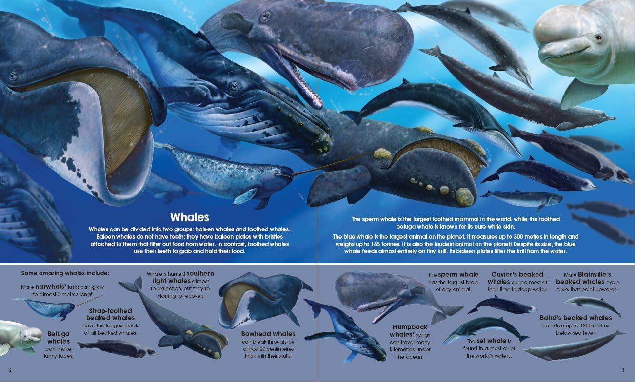 Garry Fleming's Sea Animals - Book &amp; Jigsaw Vol. 2