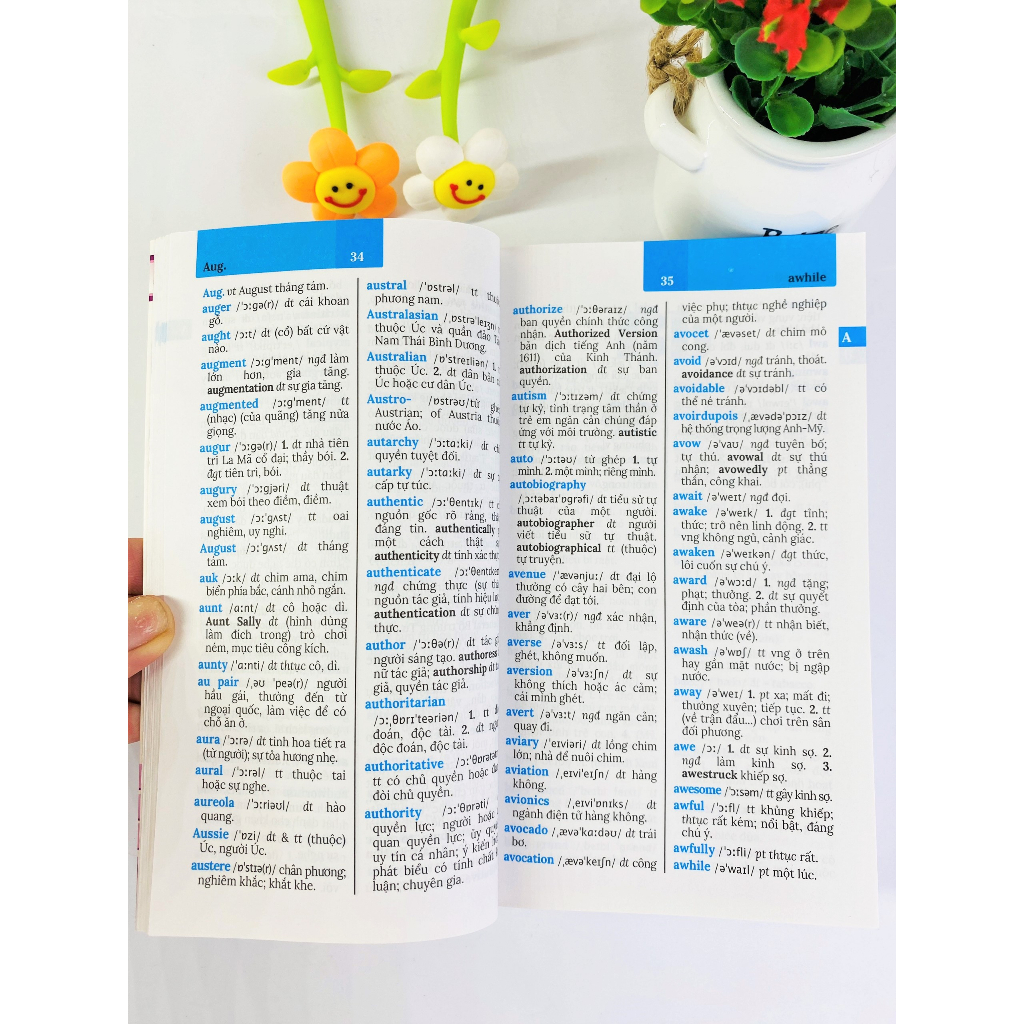 Sách - Từ điển Anh - Việt 100.000 từ (B124) - ndbooks