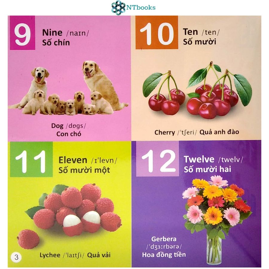 Sách 101 Từ đầu tiên: Số đếm - Nghề Nghiệp