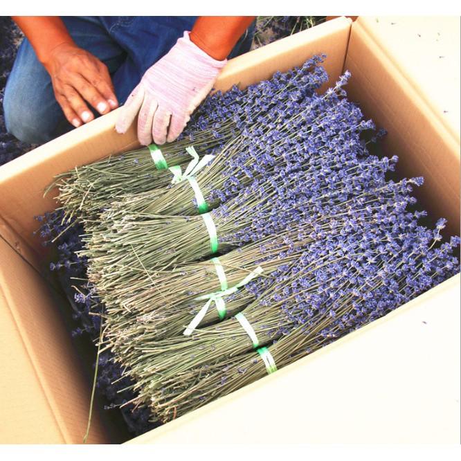 Bó hoa khô hoa lavender 130g  KÈM VIDEO HÌNH THẬT, tặng kèm túi thơm