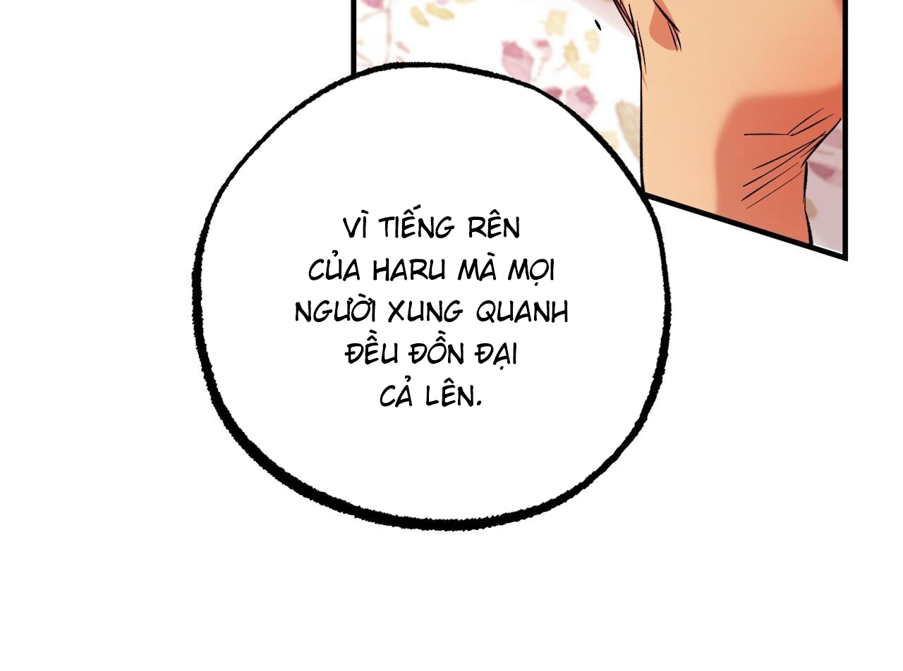 đàn thỏ của habibi chapter 63 229