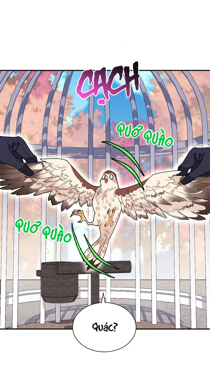 công chúa của loài chim chapter 2 12