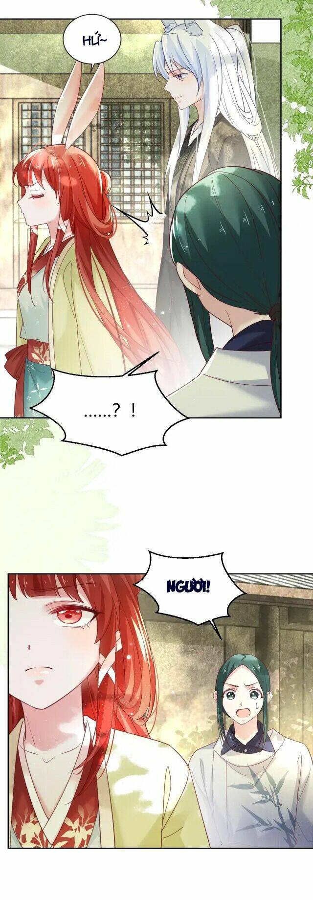 hắc hóa nam chính trực tuyến nuôi thỏ chapter 49 15