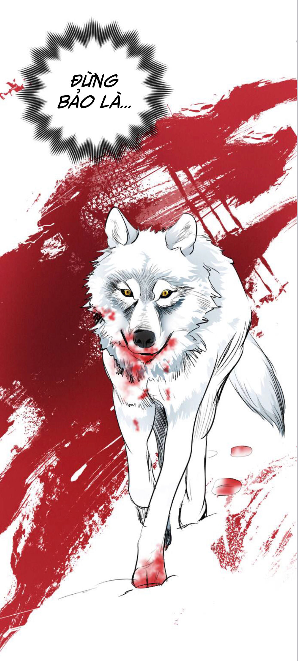 lựa chọn cuối cùng của tôi là nam phụ chapter 12 48