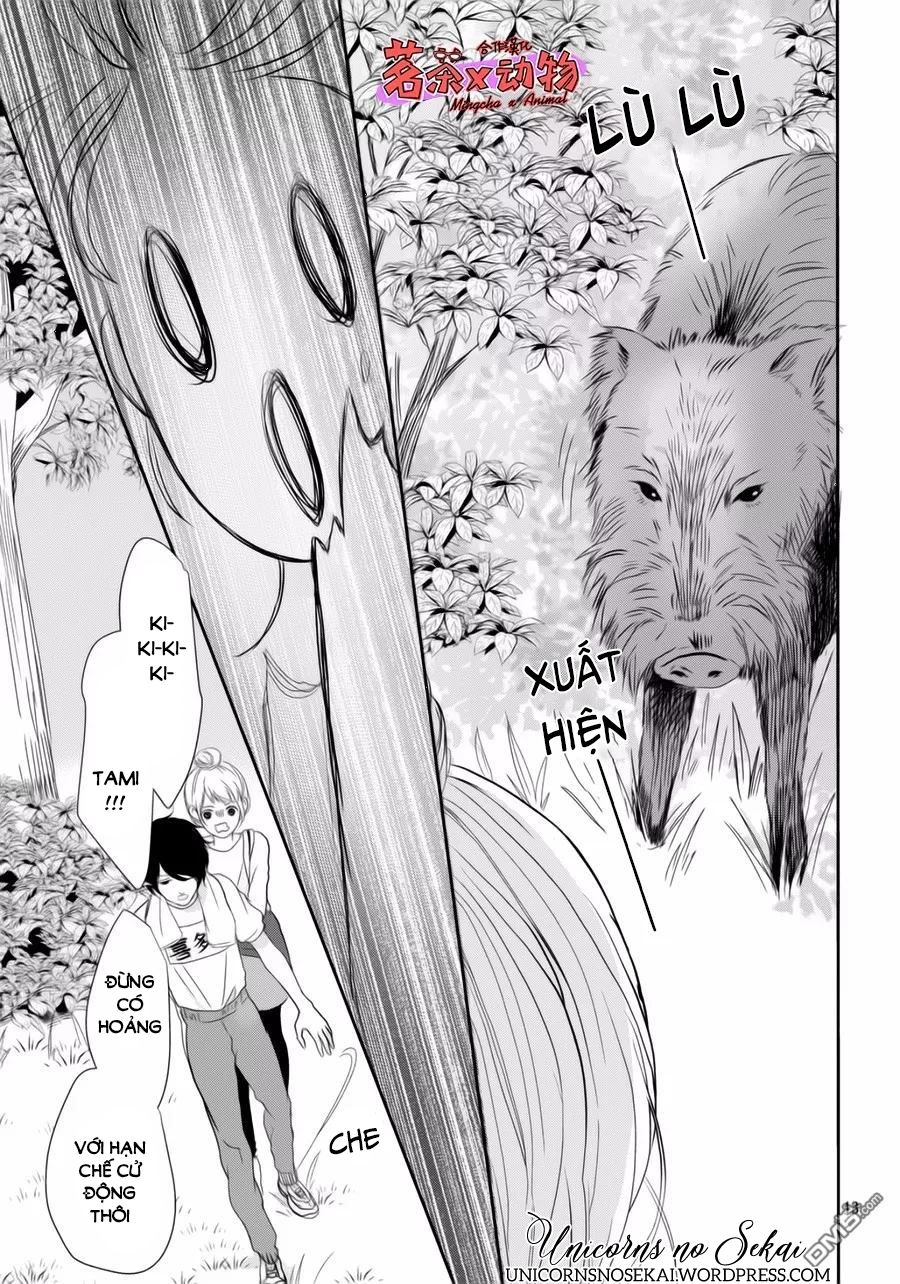 anadorenai ne kitami-kun chapter 6 11