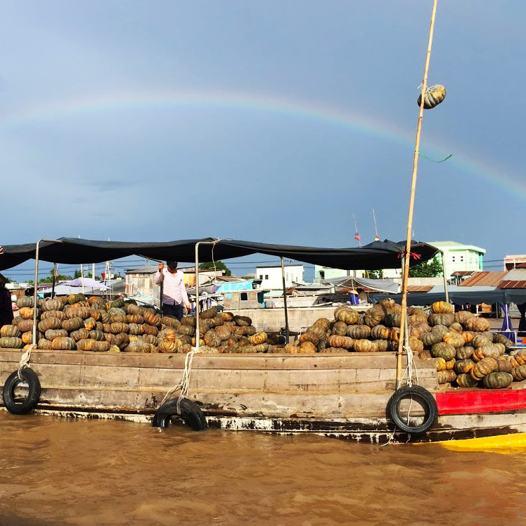 Tour du lịch miền Tây 4N3Đ giá rẻ | Khởi hành từ Sài Gòn đi Tiền Giang, Bến Tre, Cần Thơ, Sóc Trăng, Bạc Liêu, Cà Mau.