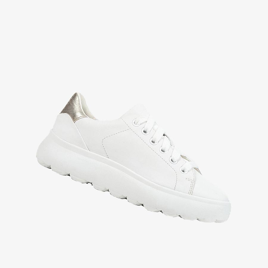 Giày Sneakers Nữ GEOX D SPHERICA EC4.1 B NA+ME.SHE