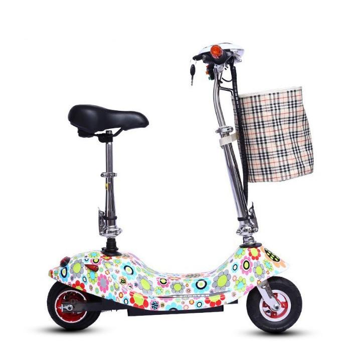 Xe điện scooter tải trọng 120kg 24V có giỏ xách tốc độ 30km/h - Home and Garden