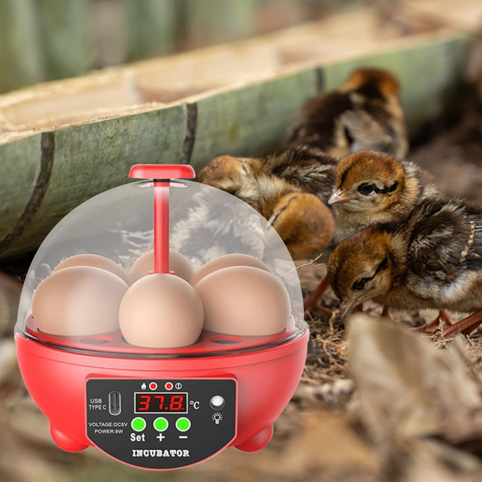 Egg Incubator Red Manual Red Manual