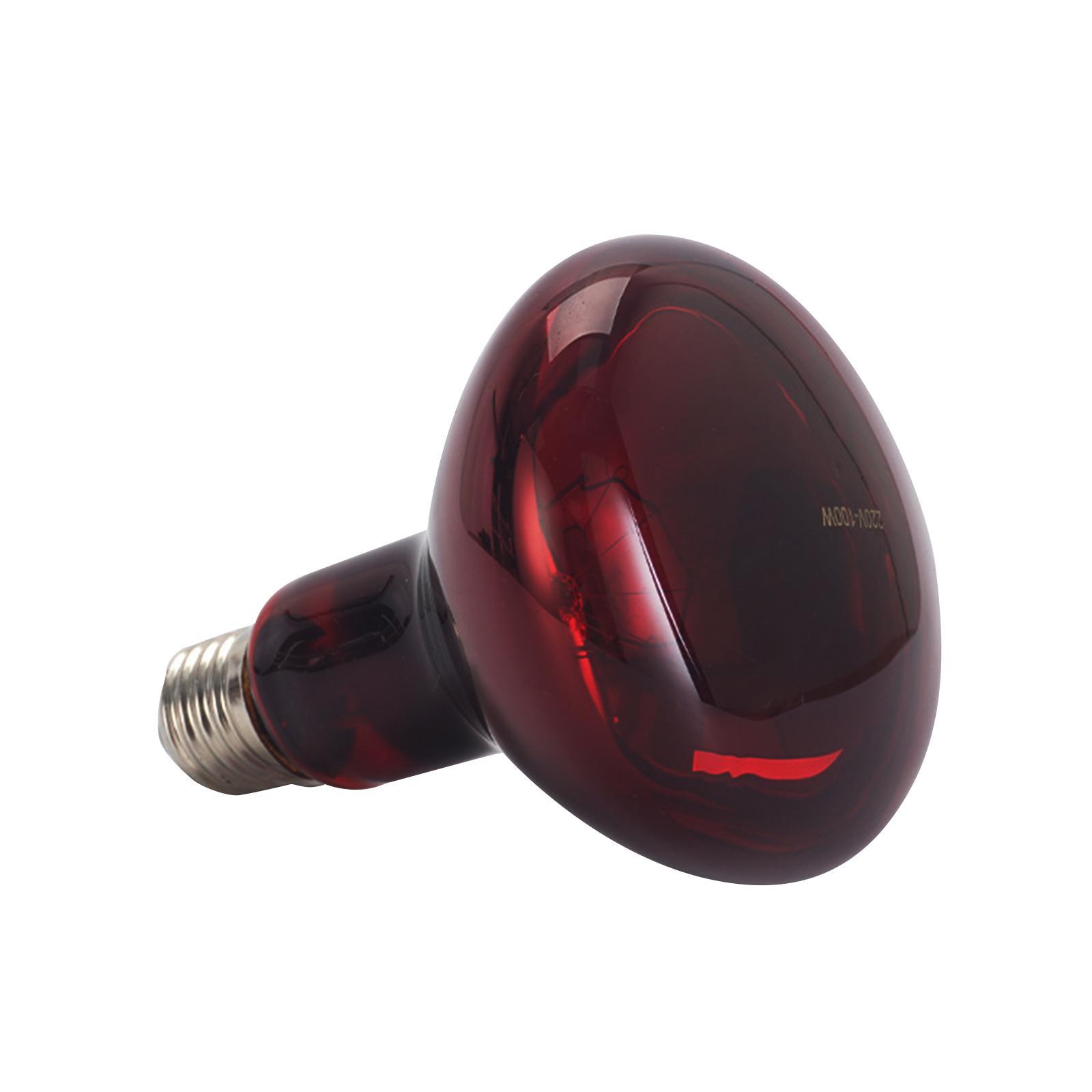 E27 Reptile Light Bulb Heating Lamp Hedgehogs Pet Supplies 100W Warm