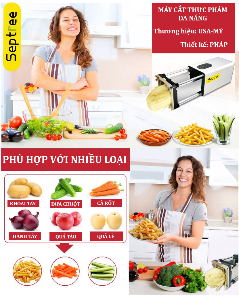 Máy cắt các loại củ quả và khoai tây chiên kiểu Pháp thương hiệu Septree, công suất 580W, chất liệu inox cao cấp F300