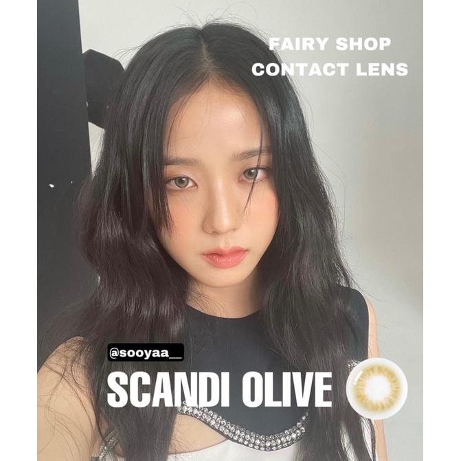 1 chiếc Kính Áp tròng Scandi Olive 14.0MM - Kính Áp Tròng FAIRY SHOP CONTACT LENS độ 0 đến 8