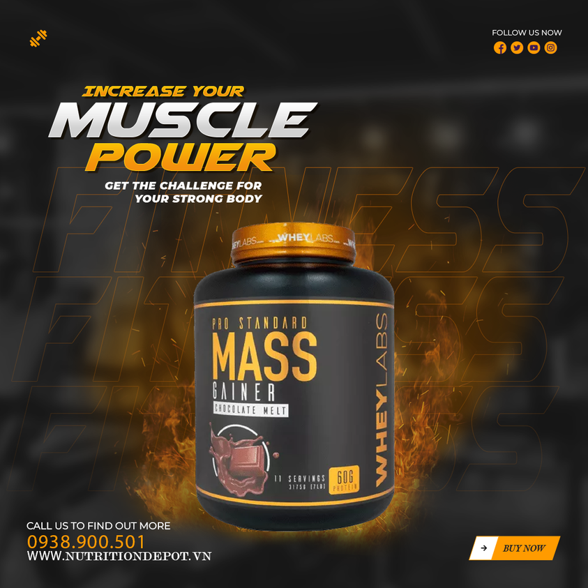 Sữa tăng cân và tăng cơ Wheylabs Mass Gainer Pro Standard 3.1kg - Nutrition Depot Vietnam