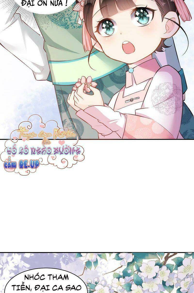 quận chúa vững vàng, thiết lập nhân vật không thể vỡ chapter 5 23