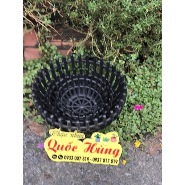Chậu trồng lan que dày đủ tất cả các size giá gốc tại xưởng