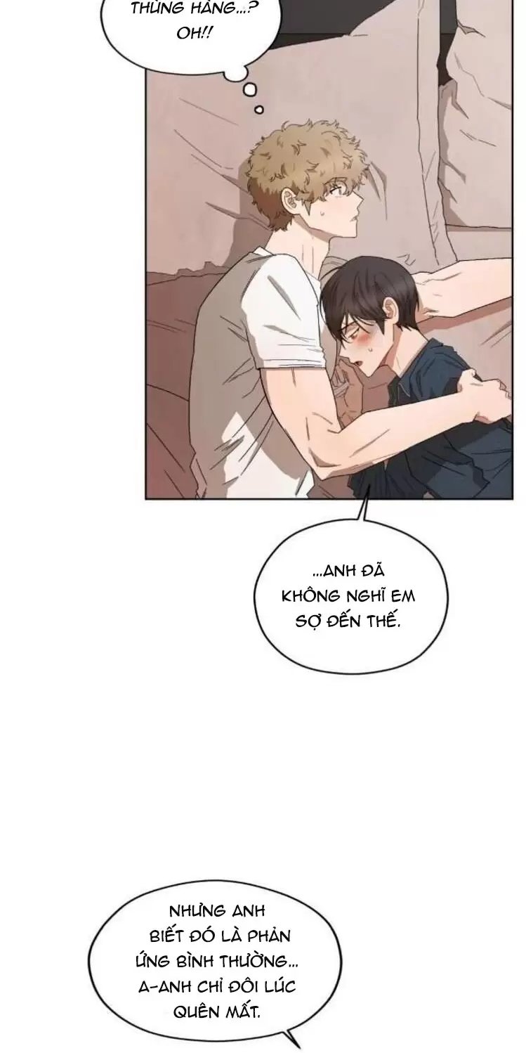 liveta chapter 38 48