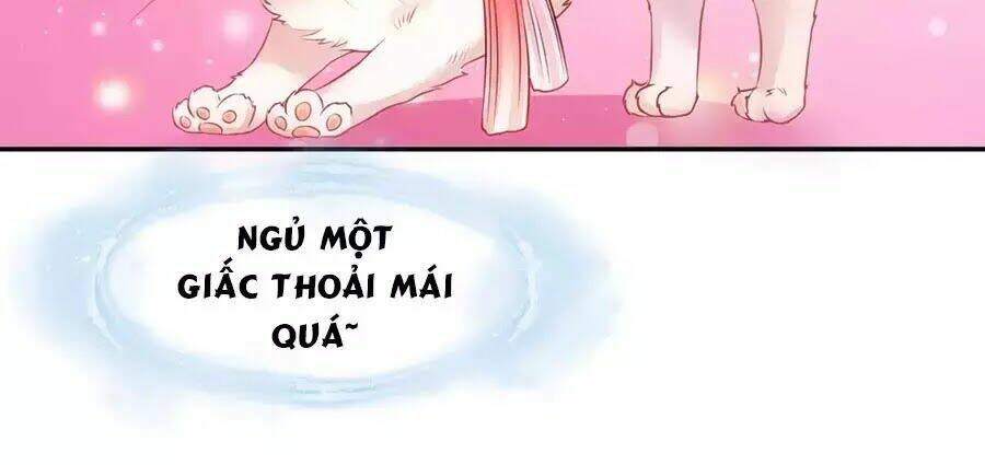 dưỡng thú vi phi chapter 1 31