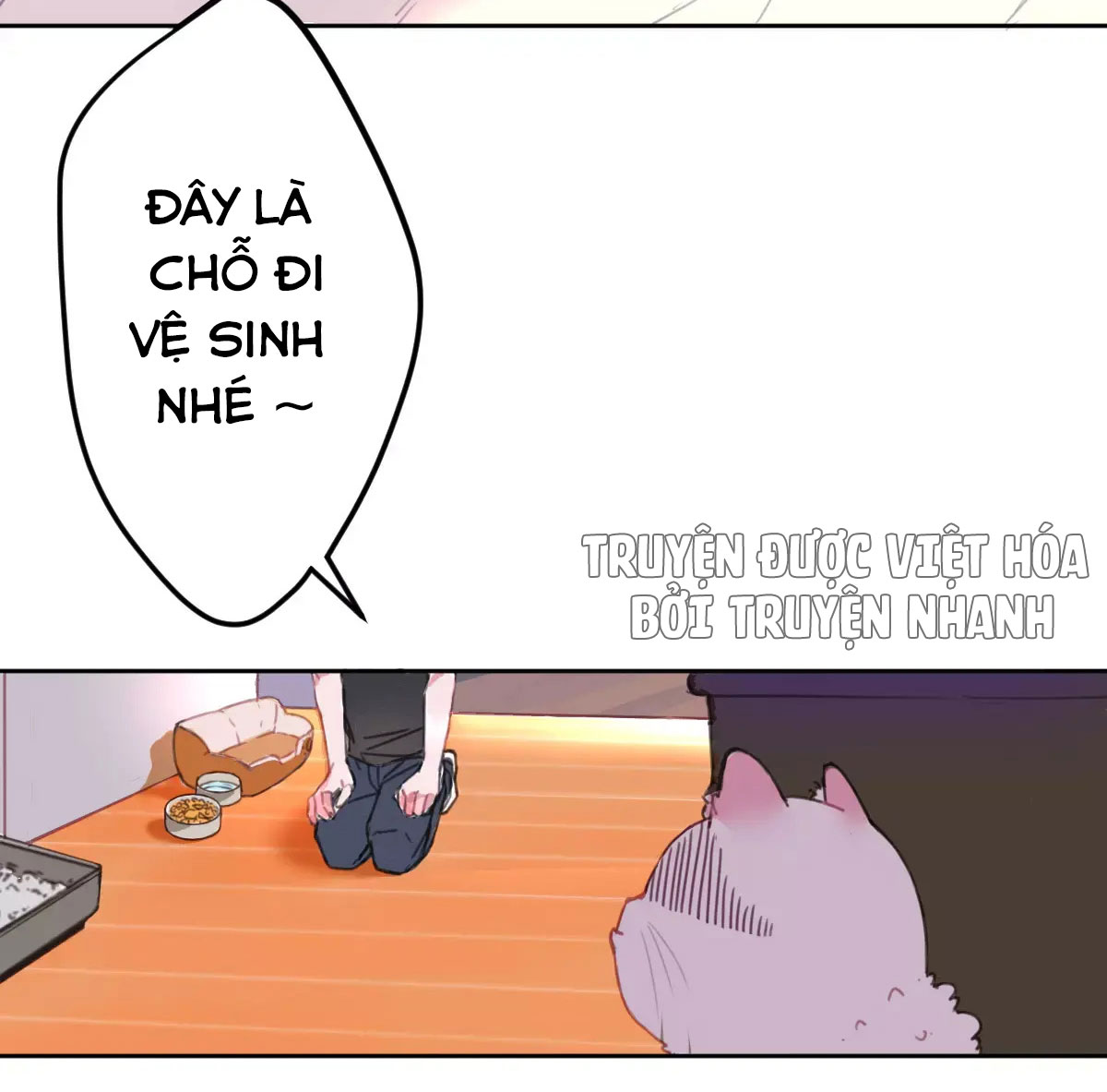 xã hội mèo chapter 2 3