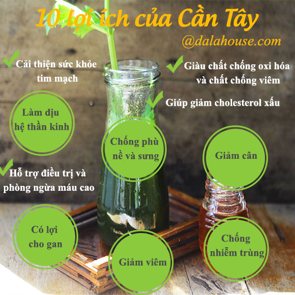 Bột Cần Tây Nguyên Chất Sấy Lạnh Dalahouse - Hỗ Trợ Giảm Cân, Đẹp Da, Thanh Lọc Cơ Thể